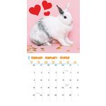 Kalender 26 Rabbits Studio pg