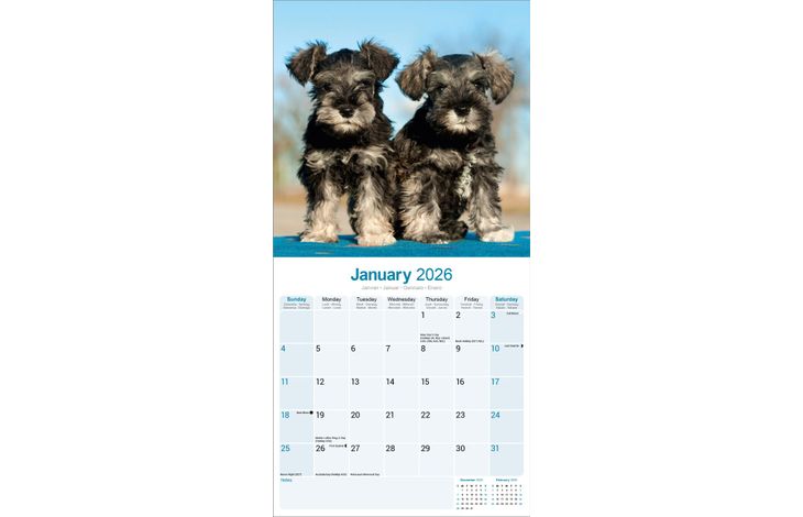 Avonside Kalender 26 Schnauzers Int as