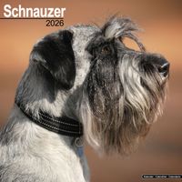 Avonside Kalender 26 Schnauzers Int as