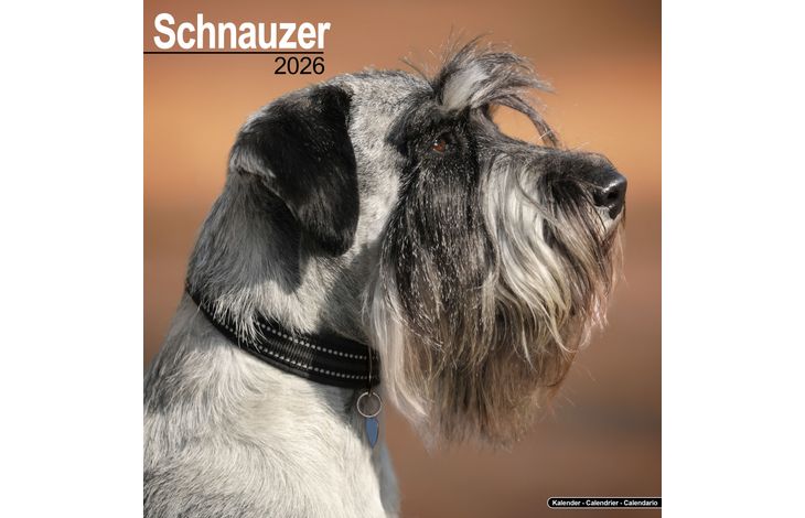 Avonside Kalender 26 Schnauzers Int as
