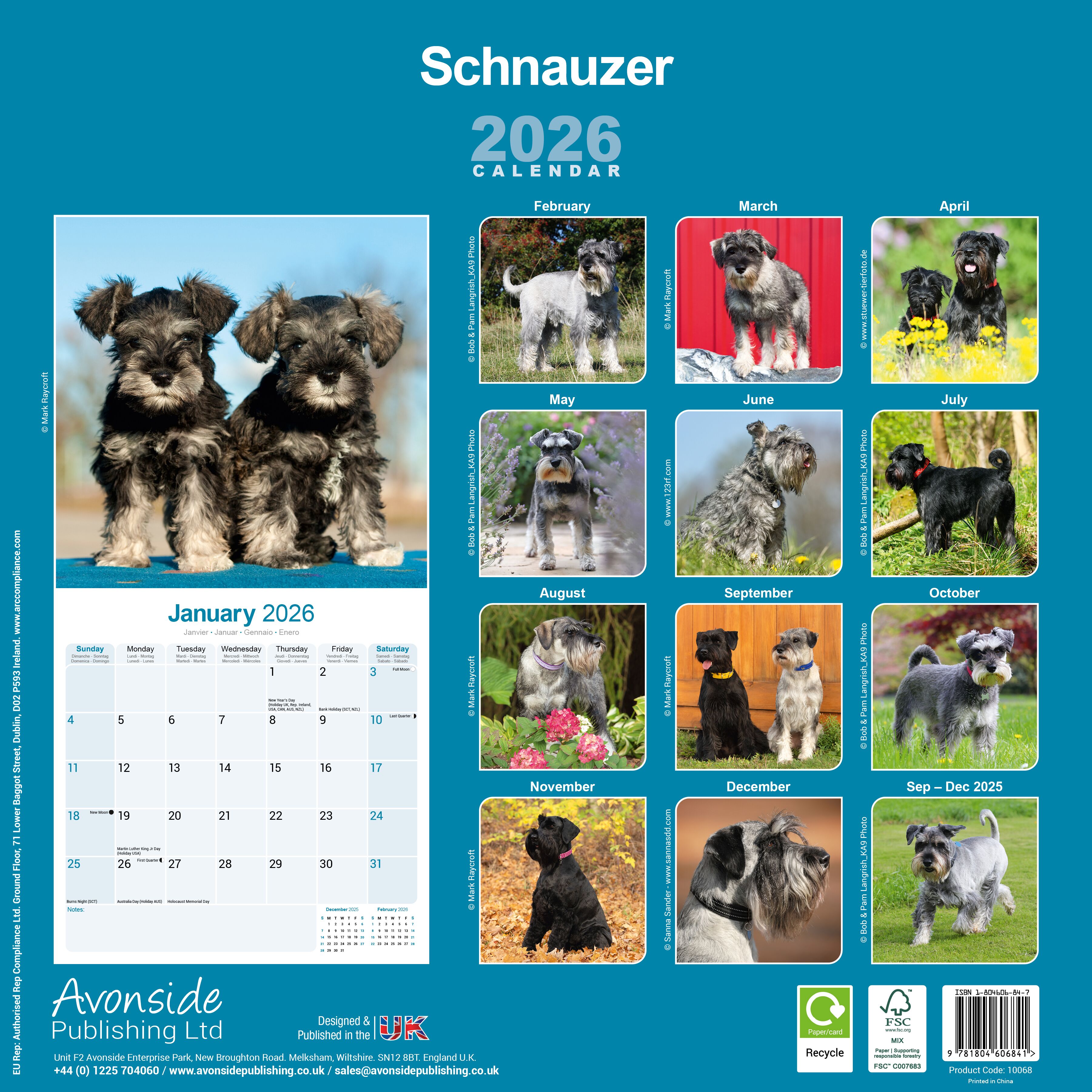 Avonside Kalender 26 Schnauzers Int as