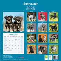 Avonside Kalender 26 Schnauzers Int as