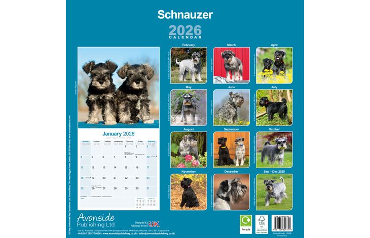Avonside Kalender 26 Schnauzers Int as