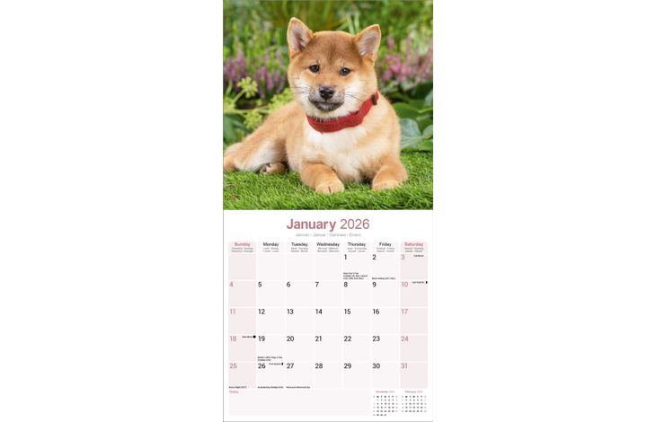 Avonside Kalender 26 Shiba Inu as