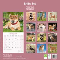 Avonside Kalender 26 Shiba Inu as