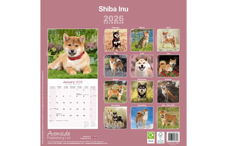 Avonside Kalender 26 Shiba Inu as