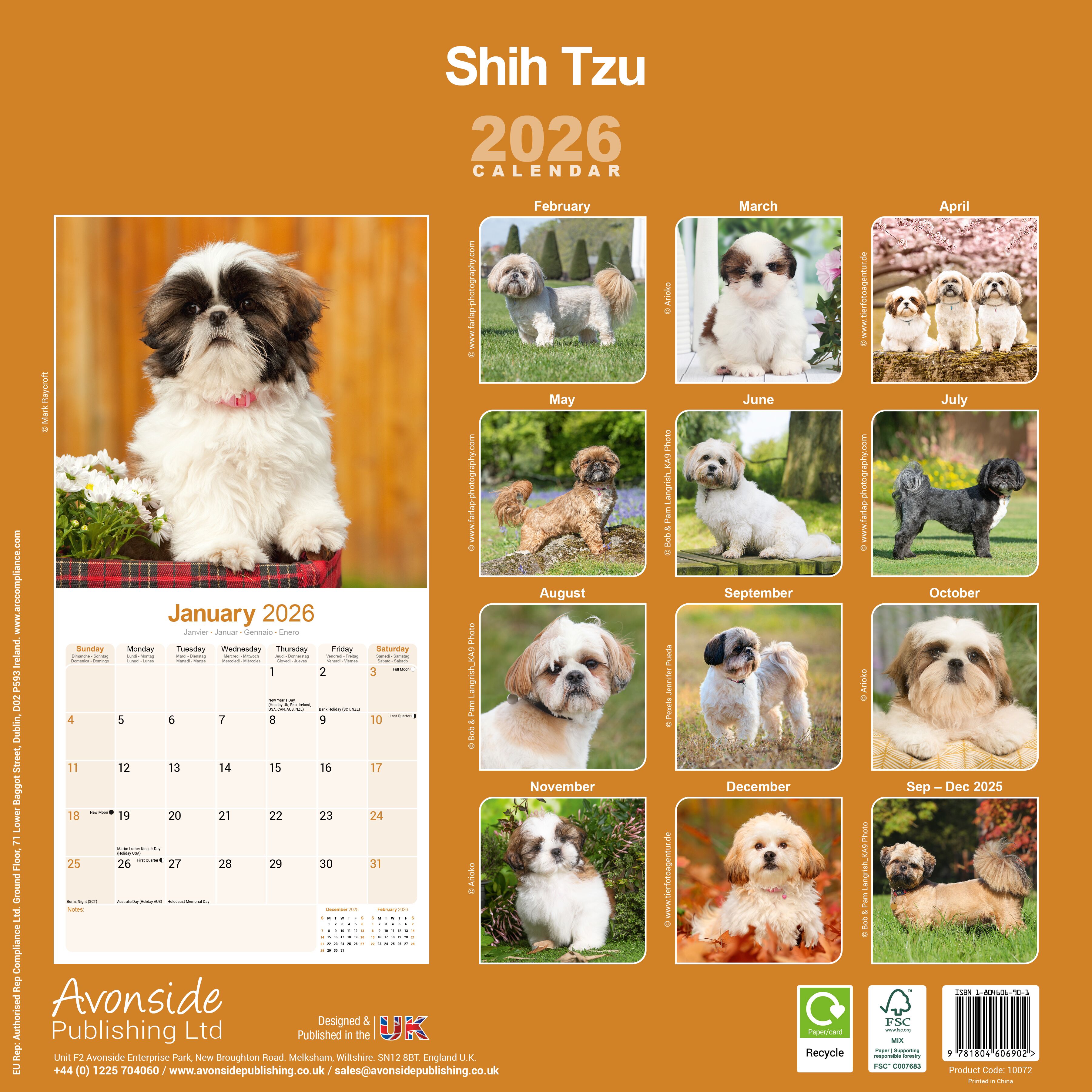 Avonside Kalender 26 Shih Tzu as