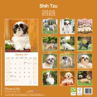 Avonside Kalender 26 Shih Tzu as