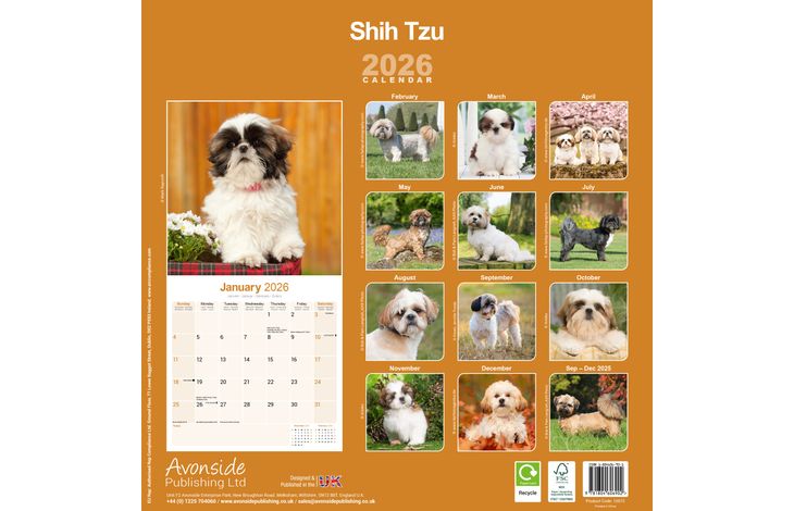 Avonside Kalender 26 Shih Tzu as