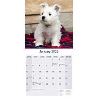 Avonside Kalender 26 West HW Terriers as
