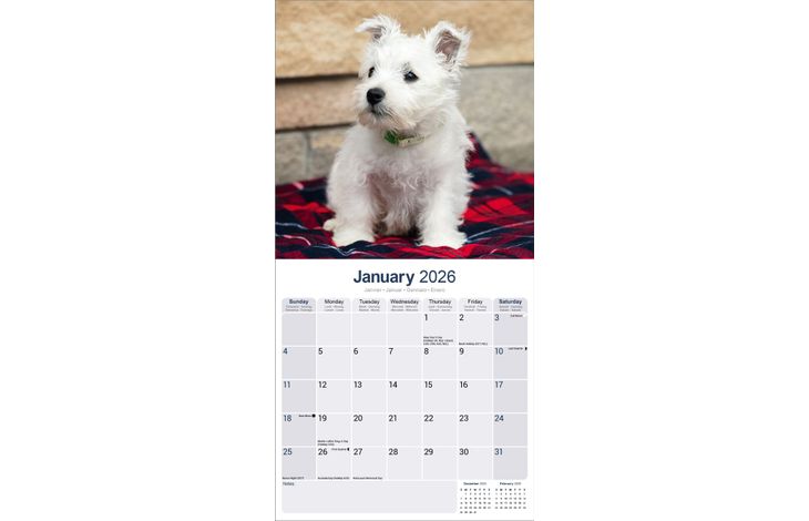 Avonside Kalender 26 West HW Terriers as