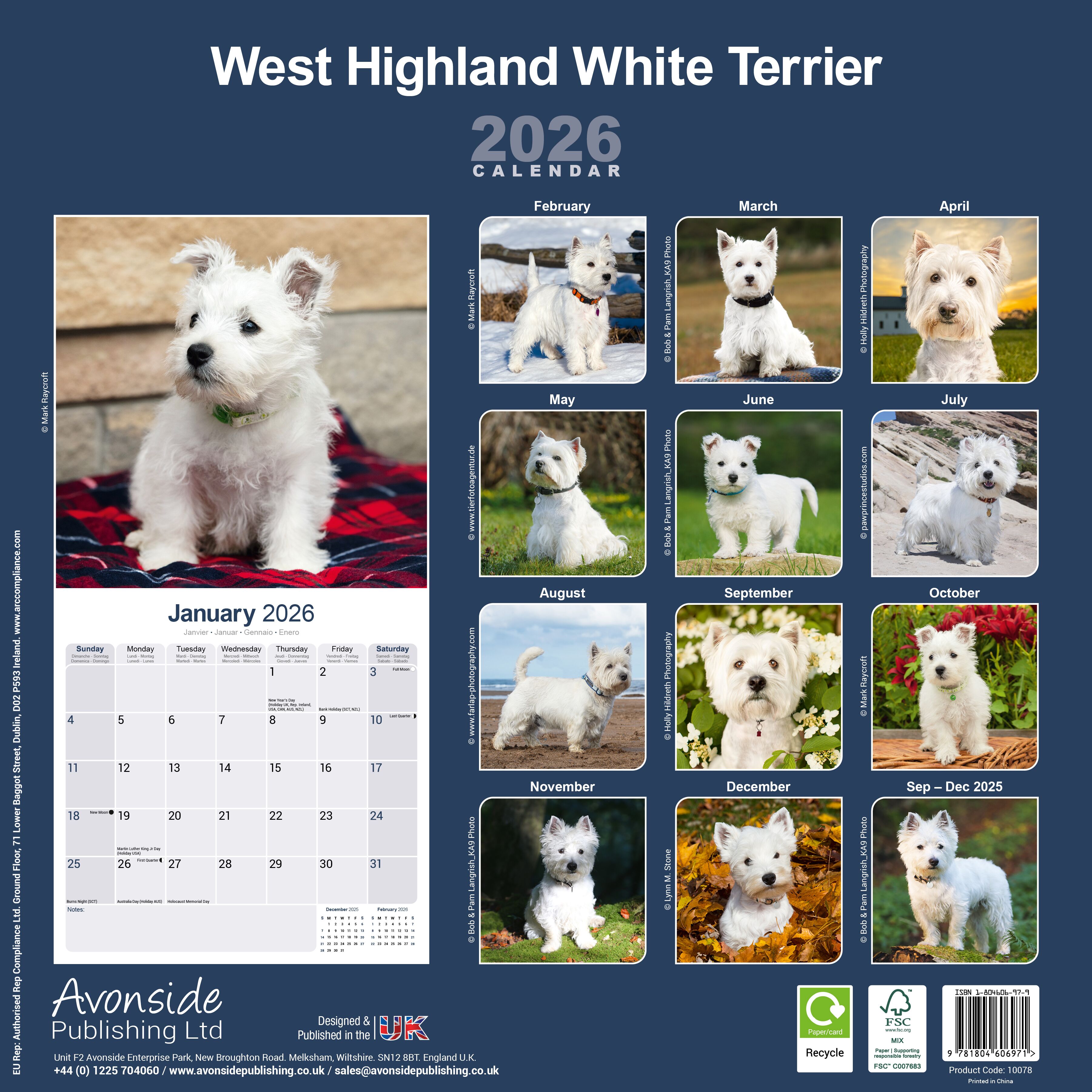 Avonside Kalender 26 West HW Terriers as