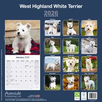 Avonside Kalender 26 West HW Terriers as