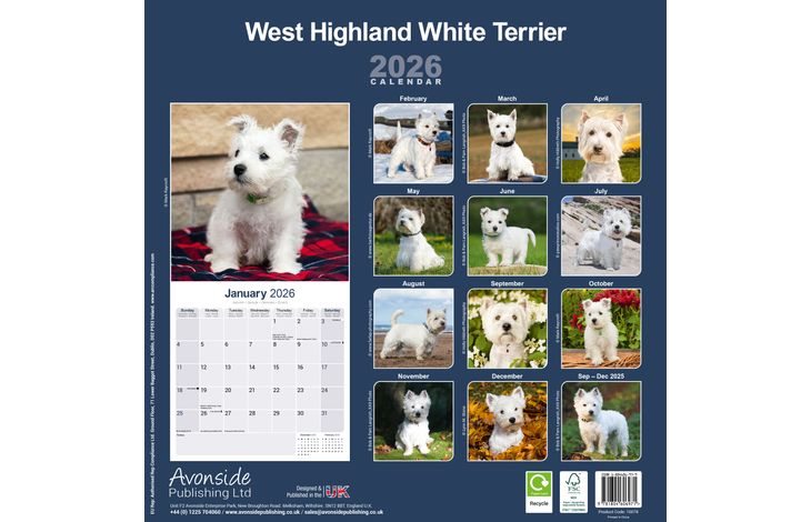 Avonside Kalender 26 West HW Terriers as