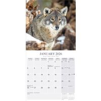Avonside Kalender 26 Wolves as