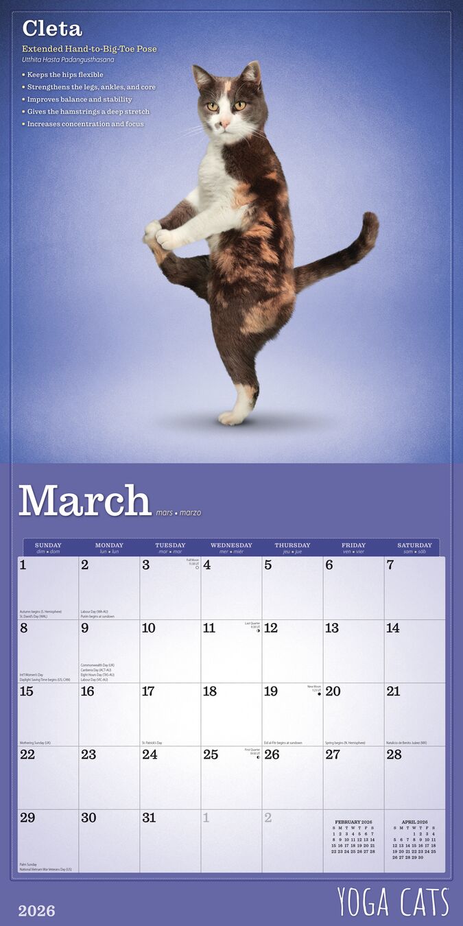 BrownTrout Kalender 26 Yoga Cats bt