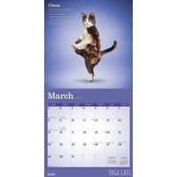 BrownTrout Kalender 26 Yoga Cats bt