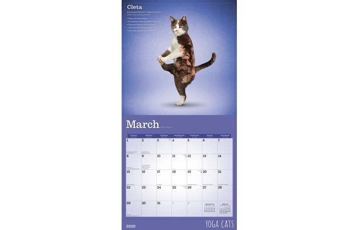 BrownTrout Kalender 26 Yoga Cats bt