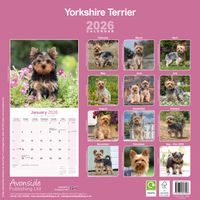Avonside Kalender 26 Yorkshire Terriers as