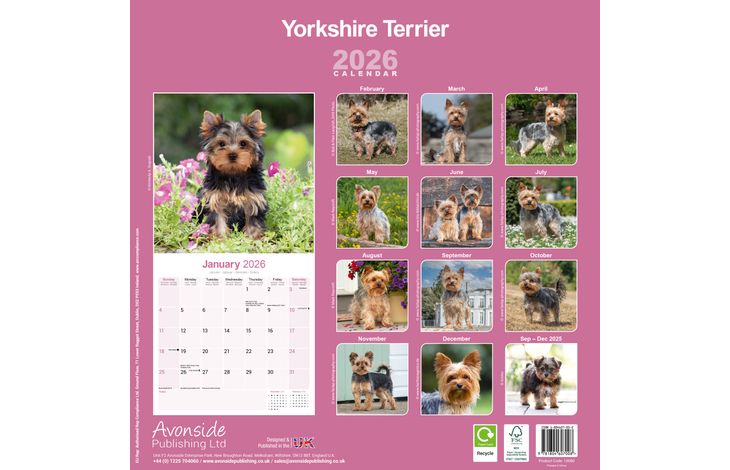 Avonside Kalender 26 Yorkshire Terriers as