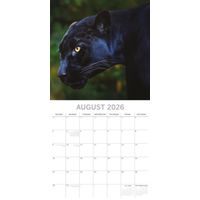 The Gifted Stationery Kalender 26 Big Cats gtd