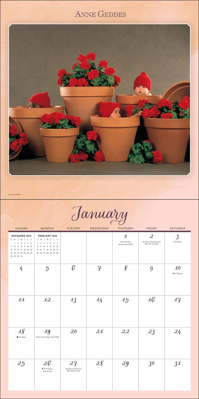 Flame Tree Publishing Kalender 26 Anne Geddes amp