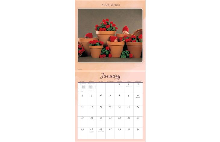 Flame Tree Publishing Kalender 26 Anne Geddes amp