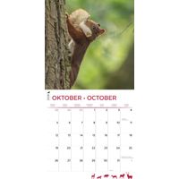 Plenty Gifts Kalender 26 De Veluwe pg