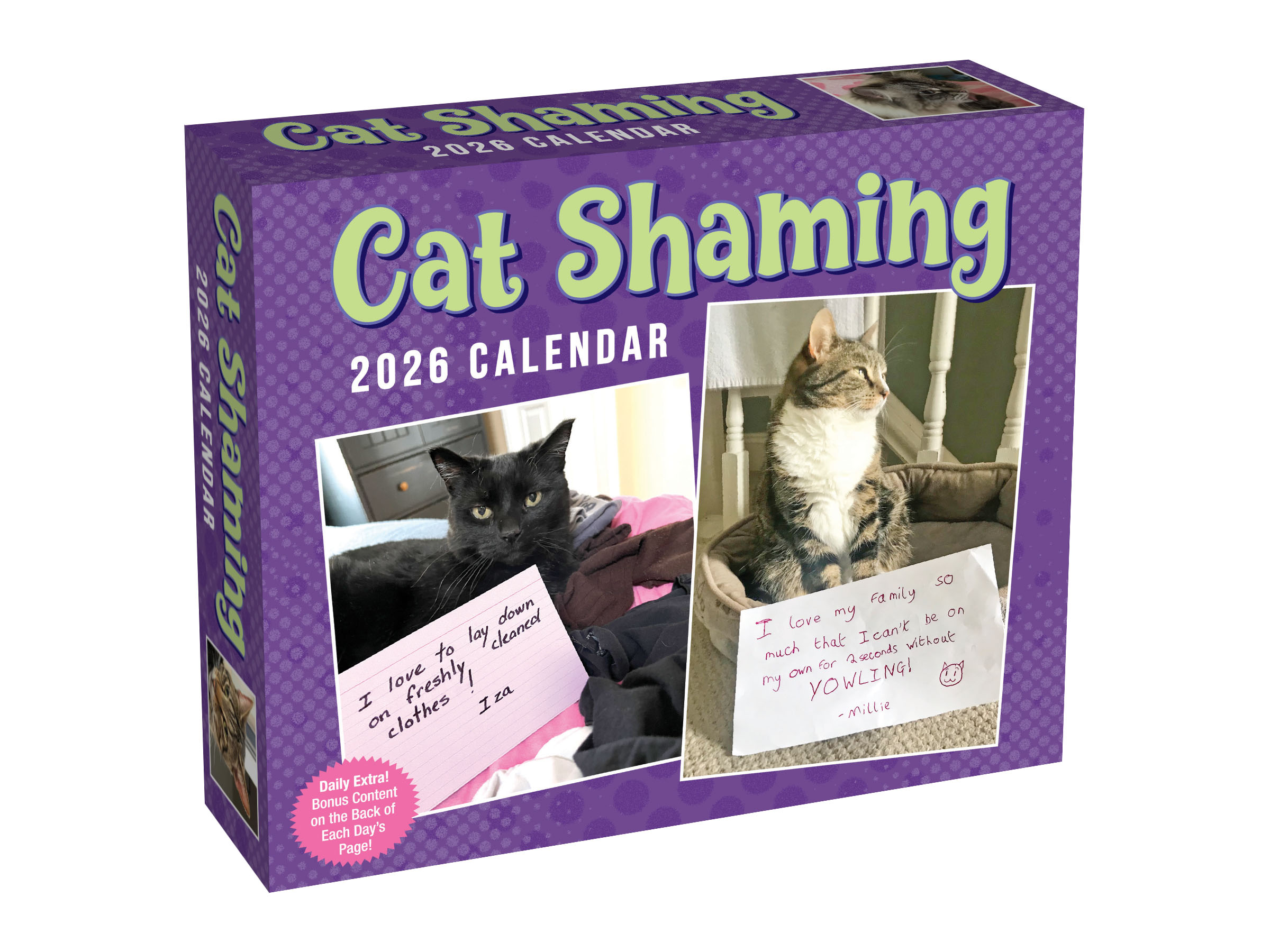Flame Tree Publishing Boxed 26 Cat Shaming amp