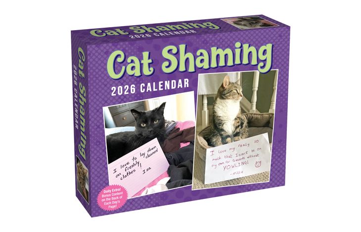 Flame Tree Publishing Boxed 26 Cat Shaming amp