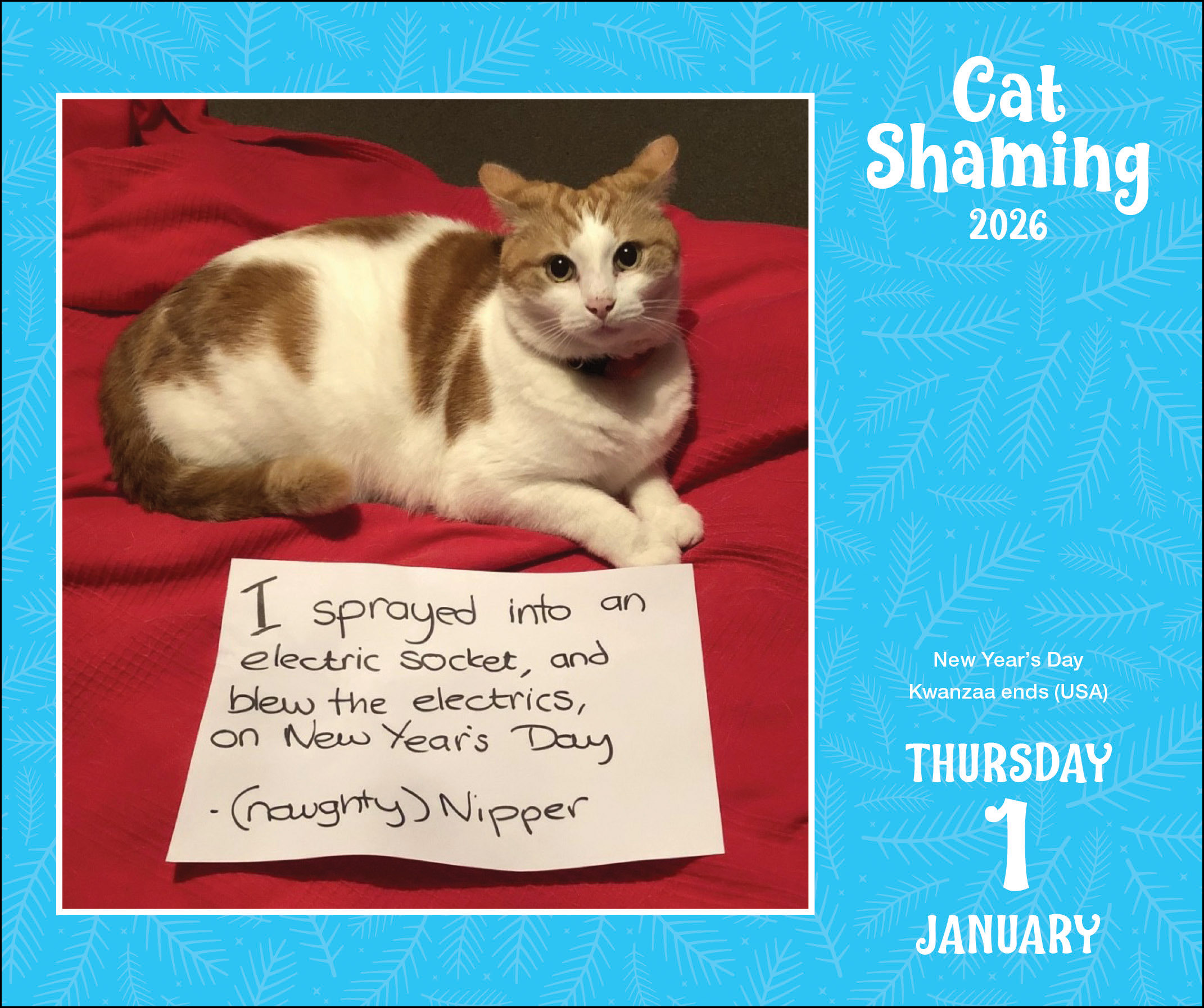 Flame Tree Publishing Boxed 26 Cat Shaming amp