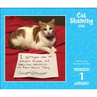 Flame Tree Publishing Boxed 26 Cat Shaming amp