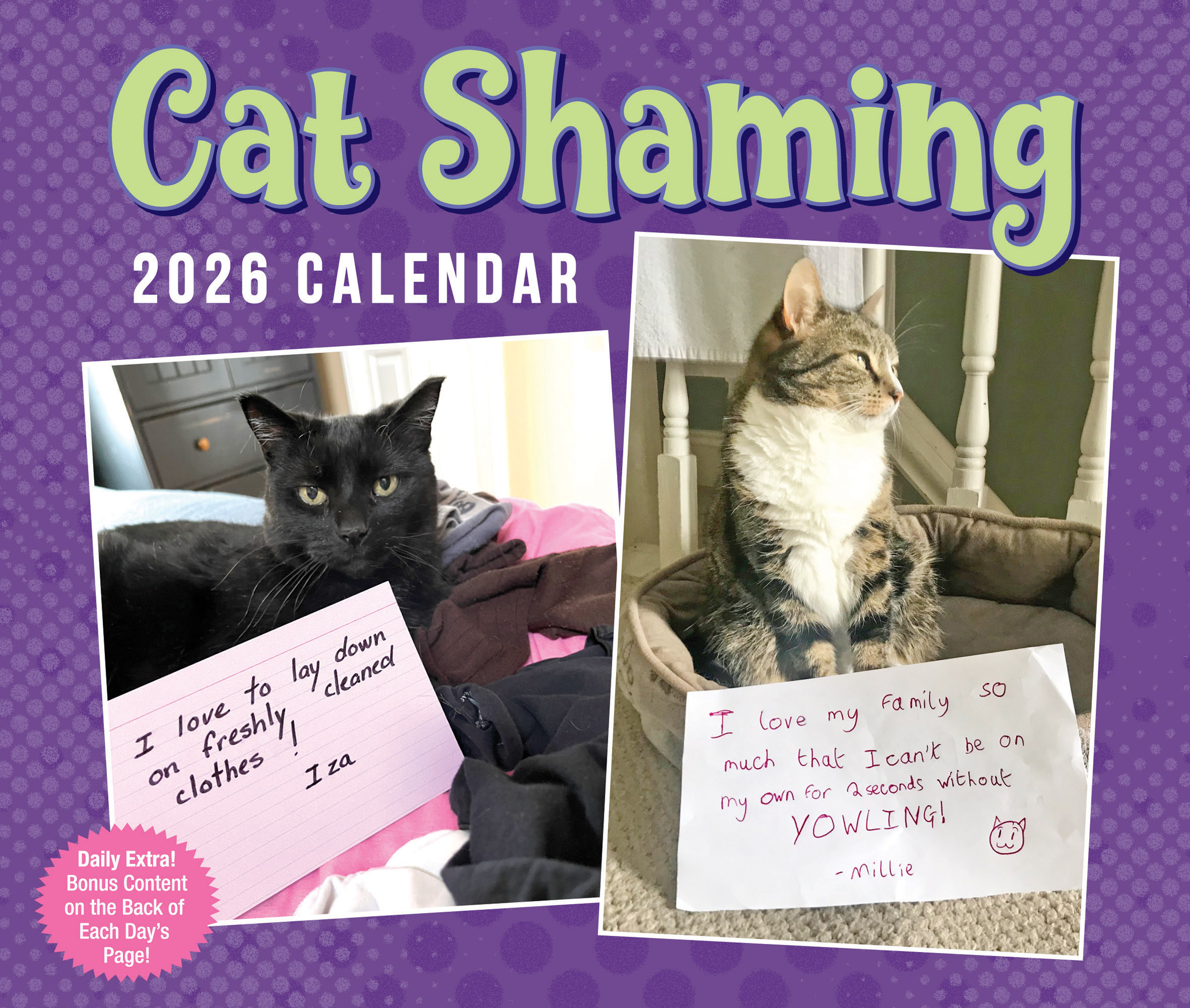 Flame Tree Publishing Boxed 26 Cat Shaming amp
