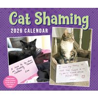 Flame Tree Publishing Boxed 26 Cat Shaming amp