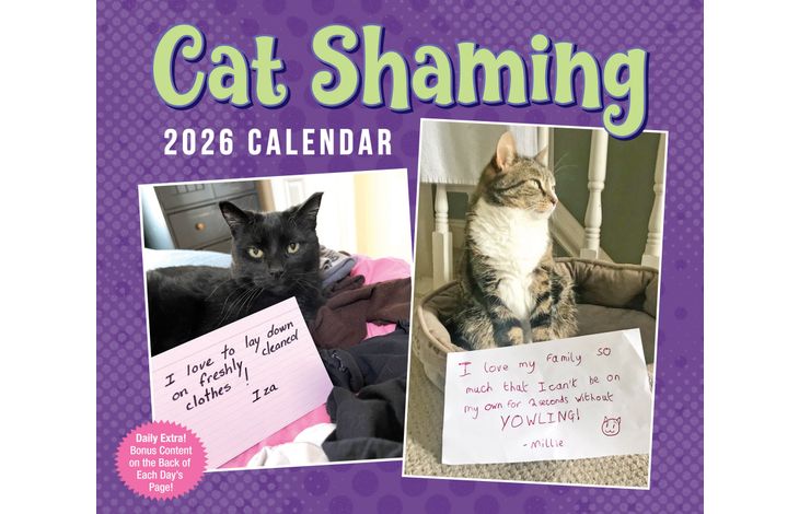Flame Tree Publishing Boxed 26 Cat Shaming amp