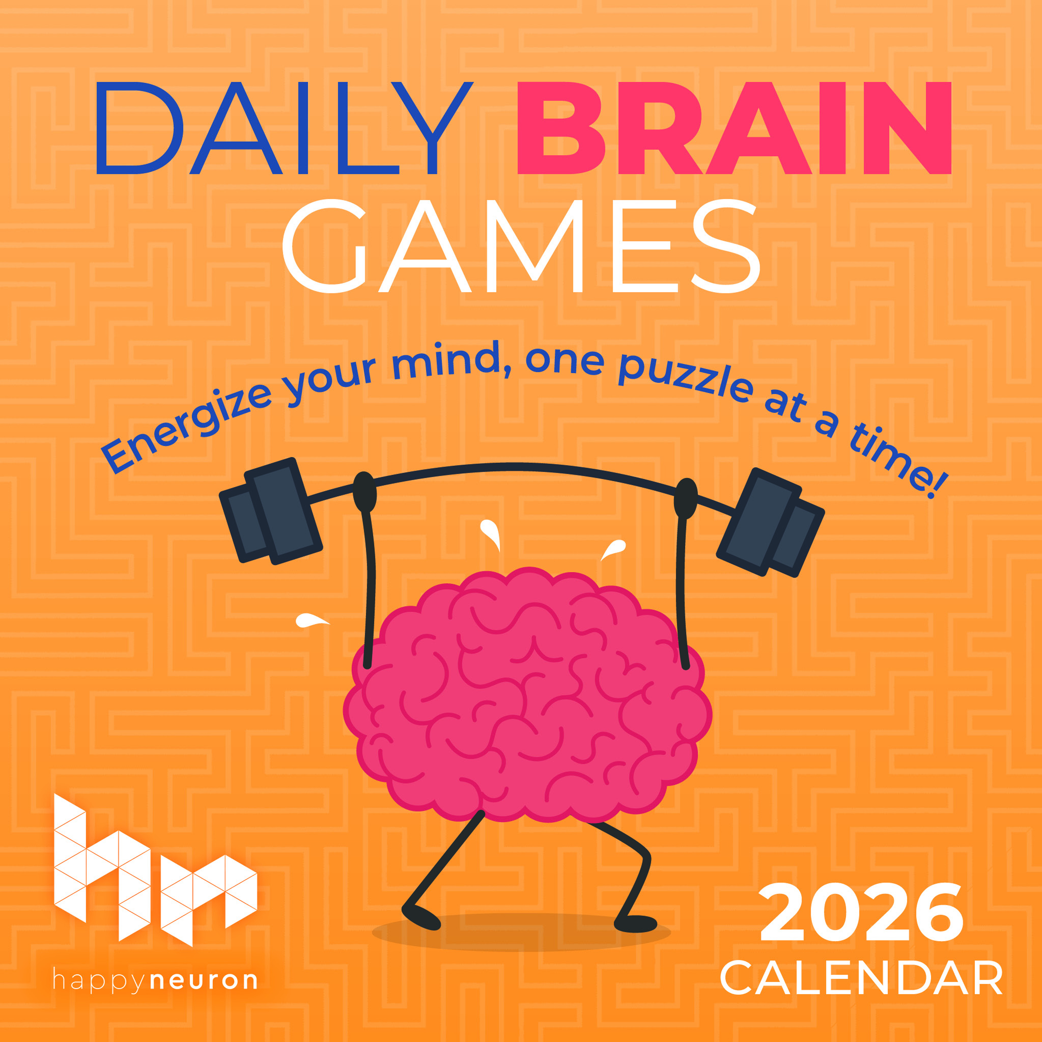 Flame Tree Publishing Boxed 26 Daily Brain Games amp