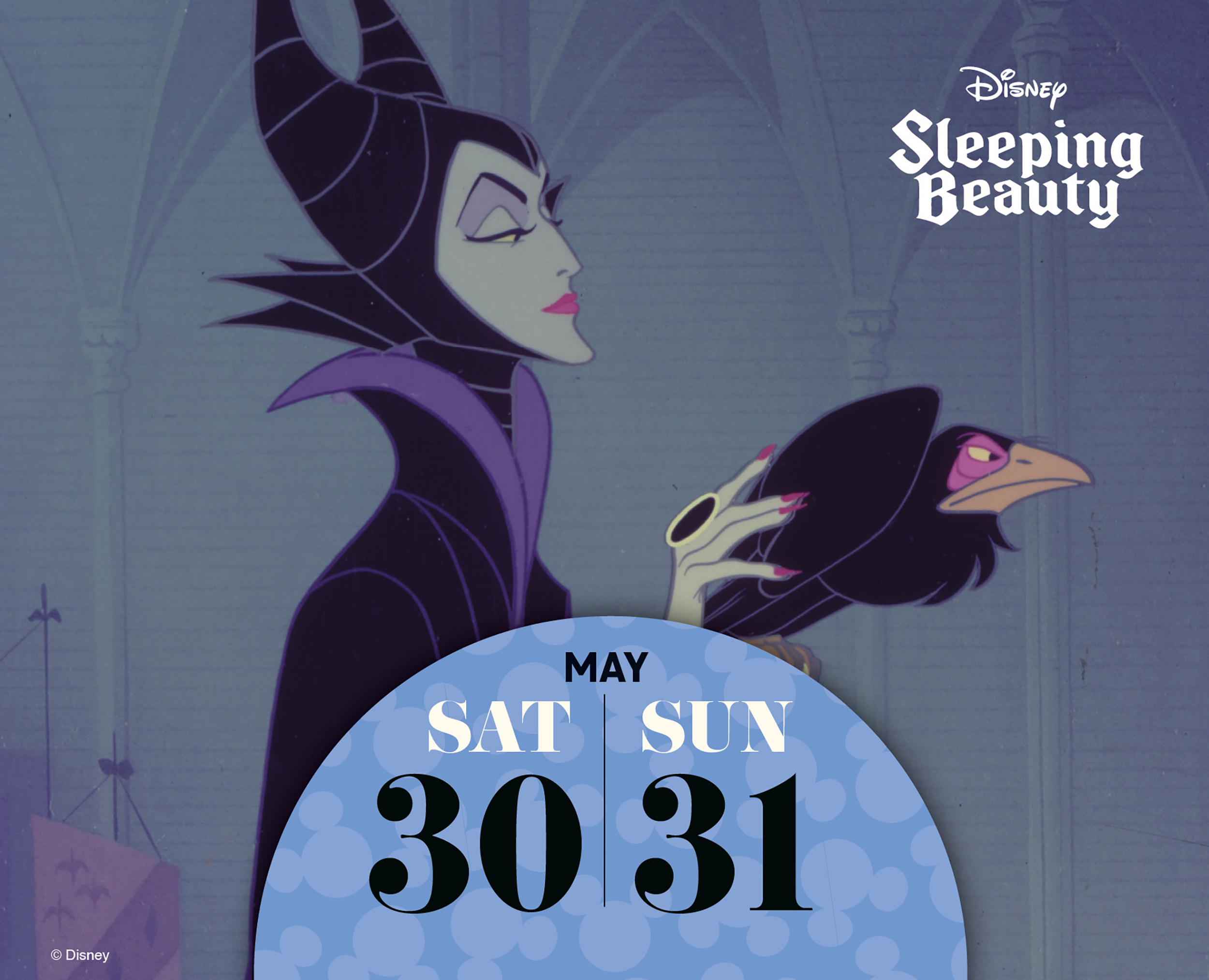 Danilo Boxed 26 Disney dnl