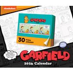 Boxed 26 Garfield amp