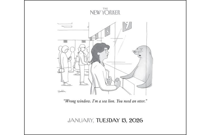 Flame Tree Publishing Boxed 26 New Yorker Cartoons amp