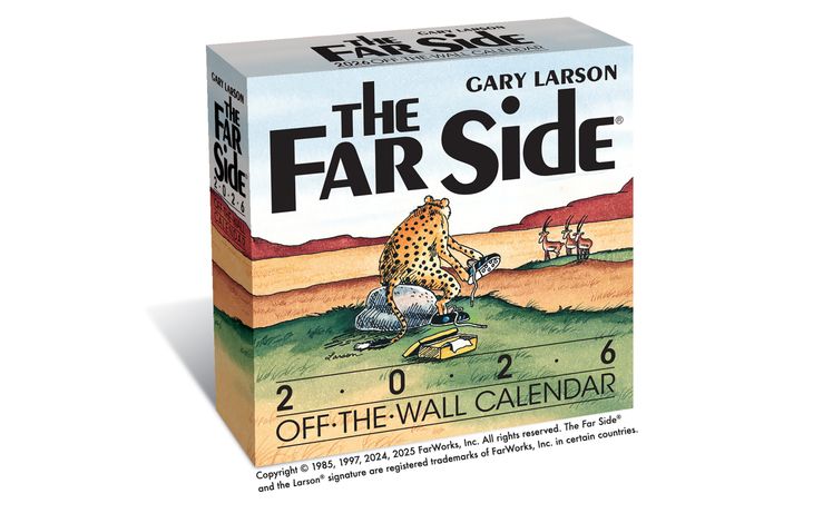 Flame Tree Publishing Boxed 26 Far Side amp