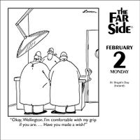 Flame Tree Publishing Boxed 26 Far Side amp