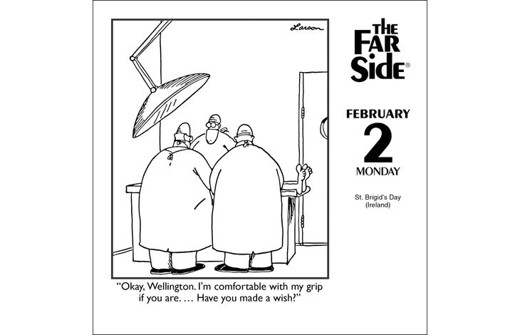 Flame Tree Publishing Boxed 26 Far Side amp