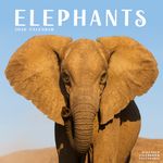 Kalender 26 Elephants as