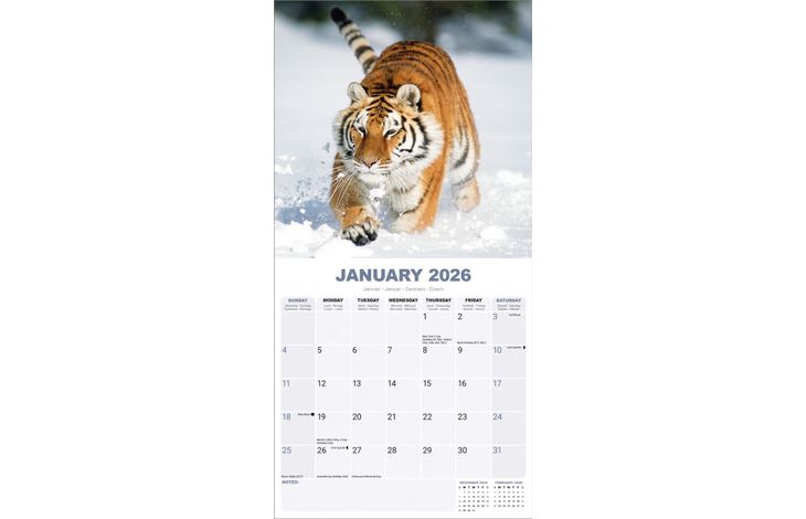 Avonside Kalender 26 Tigers as