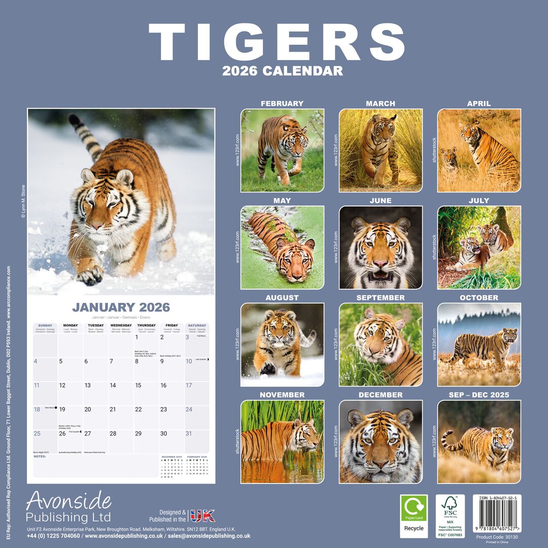 Avonside Kalender 26 Tigers as