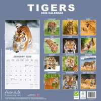 Avonside Kalender 26 Tigers as