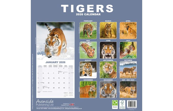 Avonside Kalender 26 Tigers as