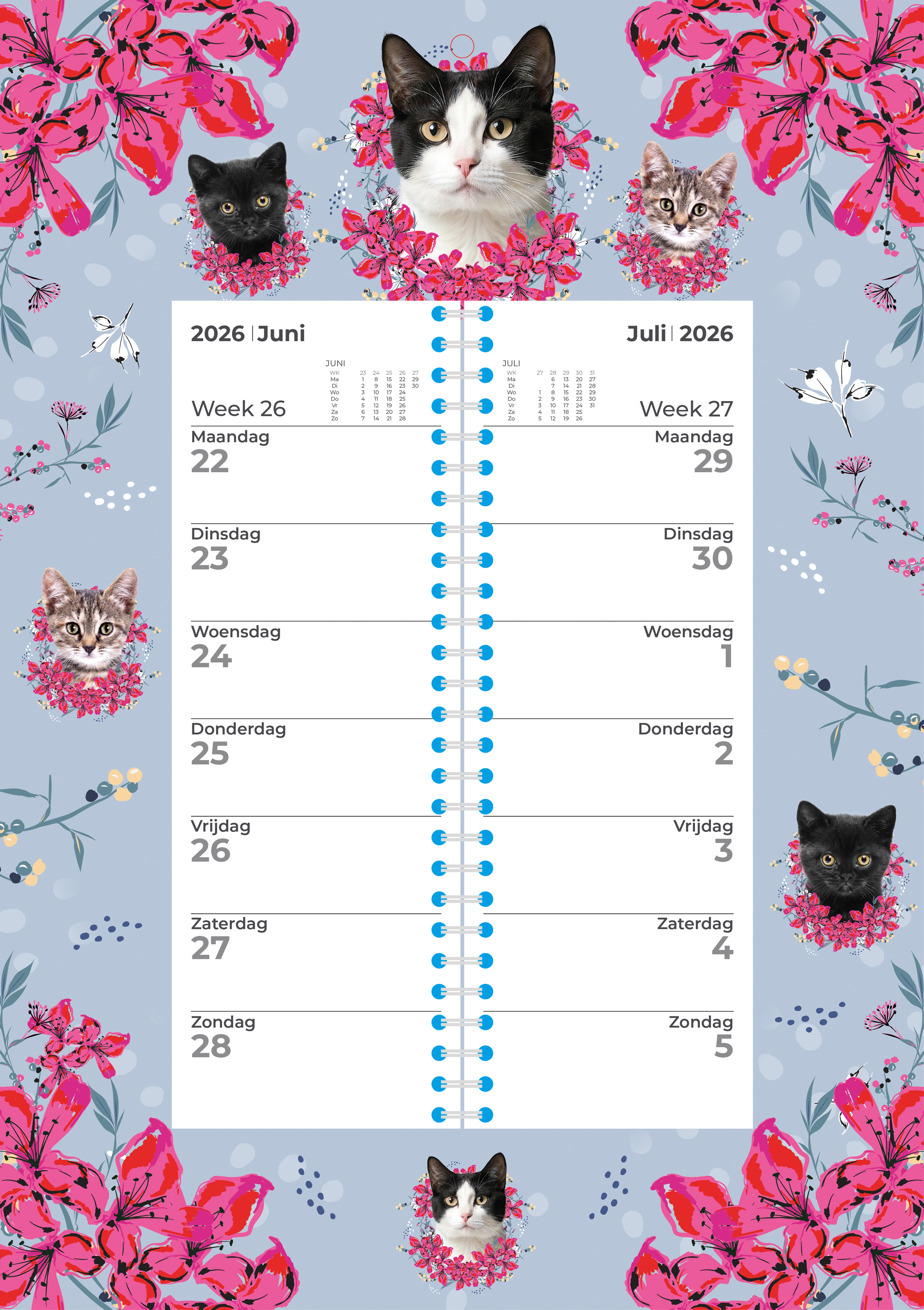 Plenty Gifts Weekomleg 26 Cats Blue