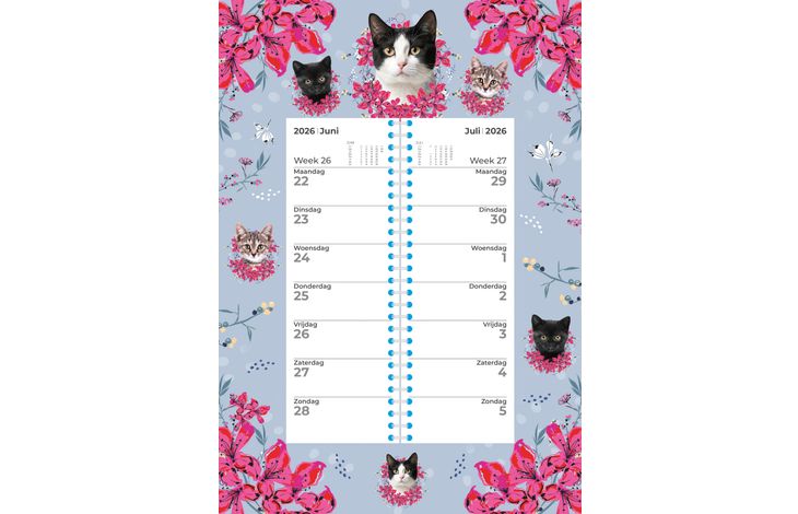 Plenty Gifts Weekomleg 26 Cats Blue