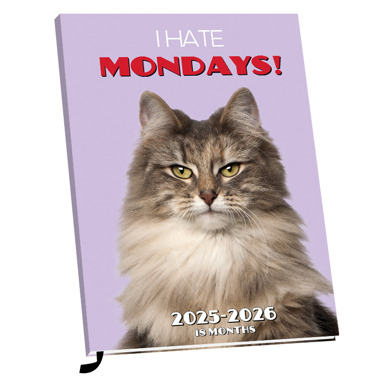 Plenty Gifts Agenda 26 I Hate Mondays pg